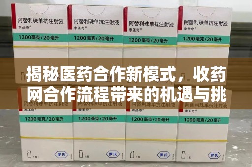 大连揭秘医药合作新模式，收药网合作流程带来的机遇与挑战