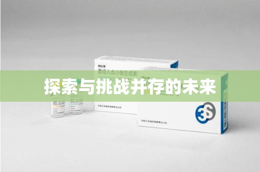 大连探索与挑战并存的未来