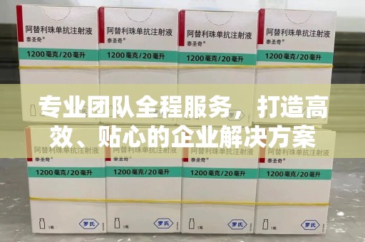 大连专业团队全程服务，打造高效、贴心的企业解决方案