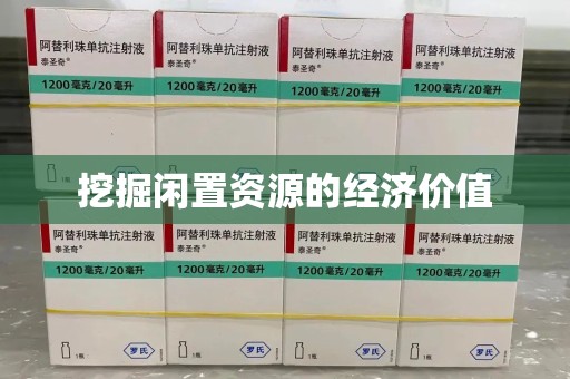 大连挖掘闲置资源的经济价值