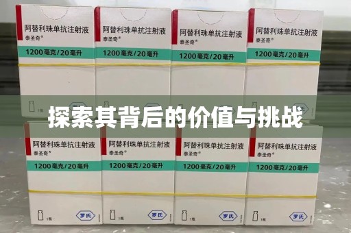 大连探索其背后的价值与挑战