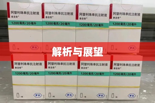 大连解析与展望