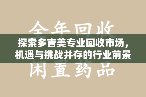 大连探索多吉美专业回收市场，机遇与挑战并存的行业前景