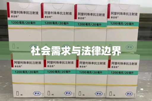 大连社会需求与法律边界