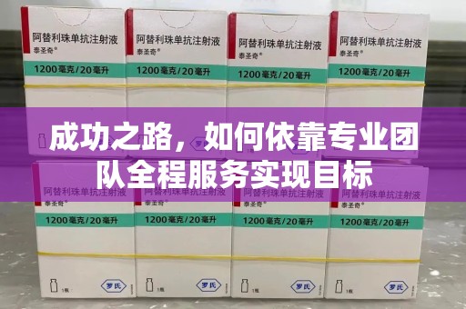 大连成功之路，如何依靠专业团队全程服务实现目标
