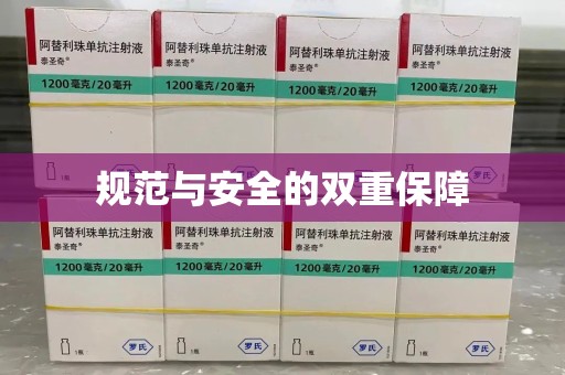 大连规范与安全的双重保障